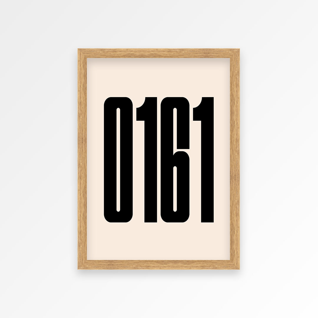 0161 Print