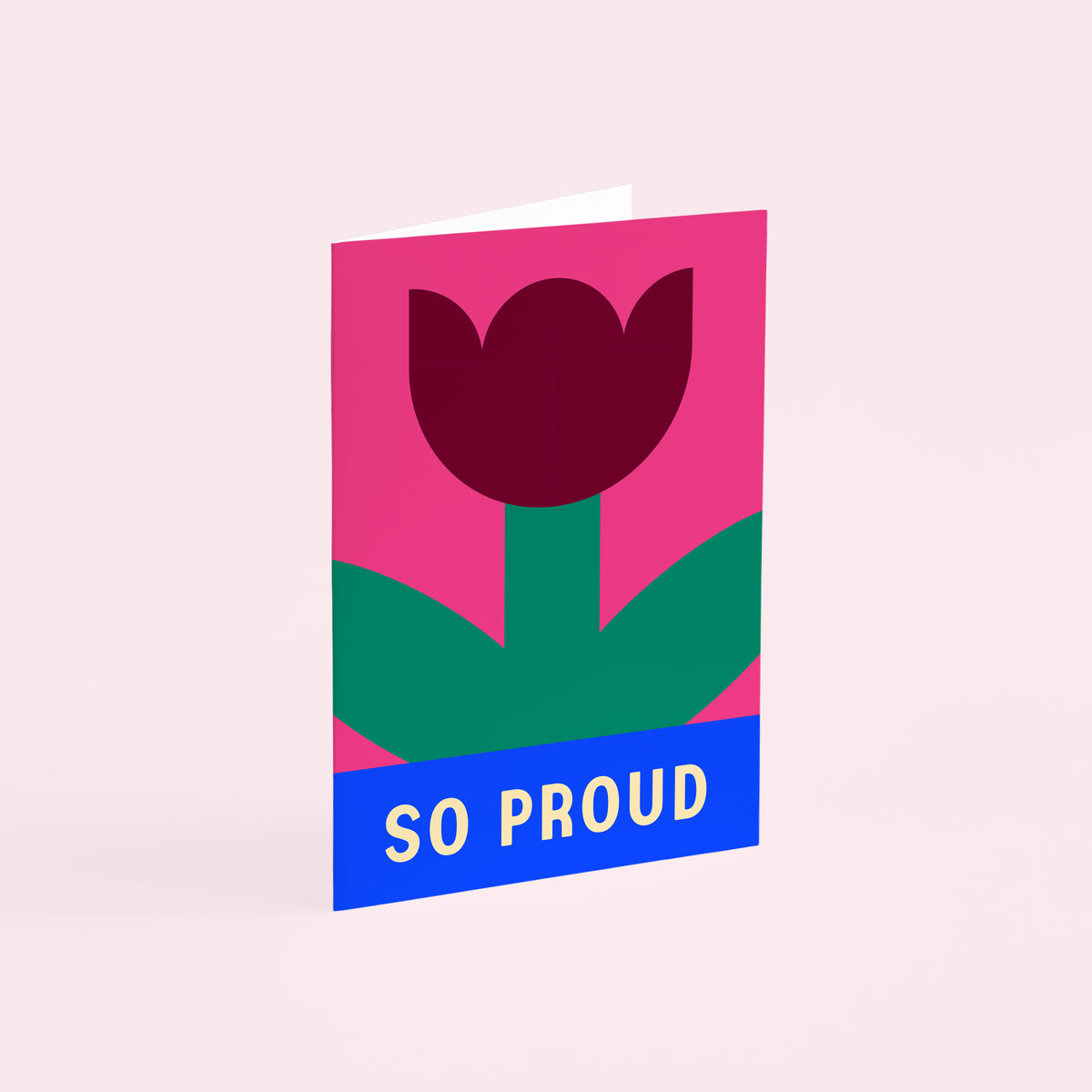 Proud Birthday Greetings Card | Congratulations