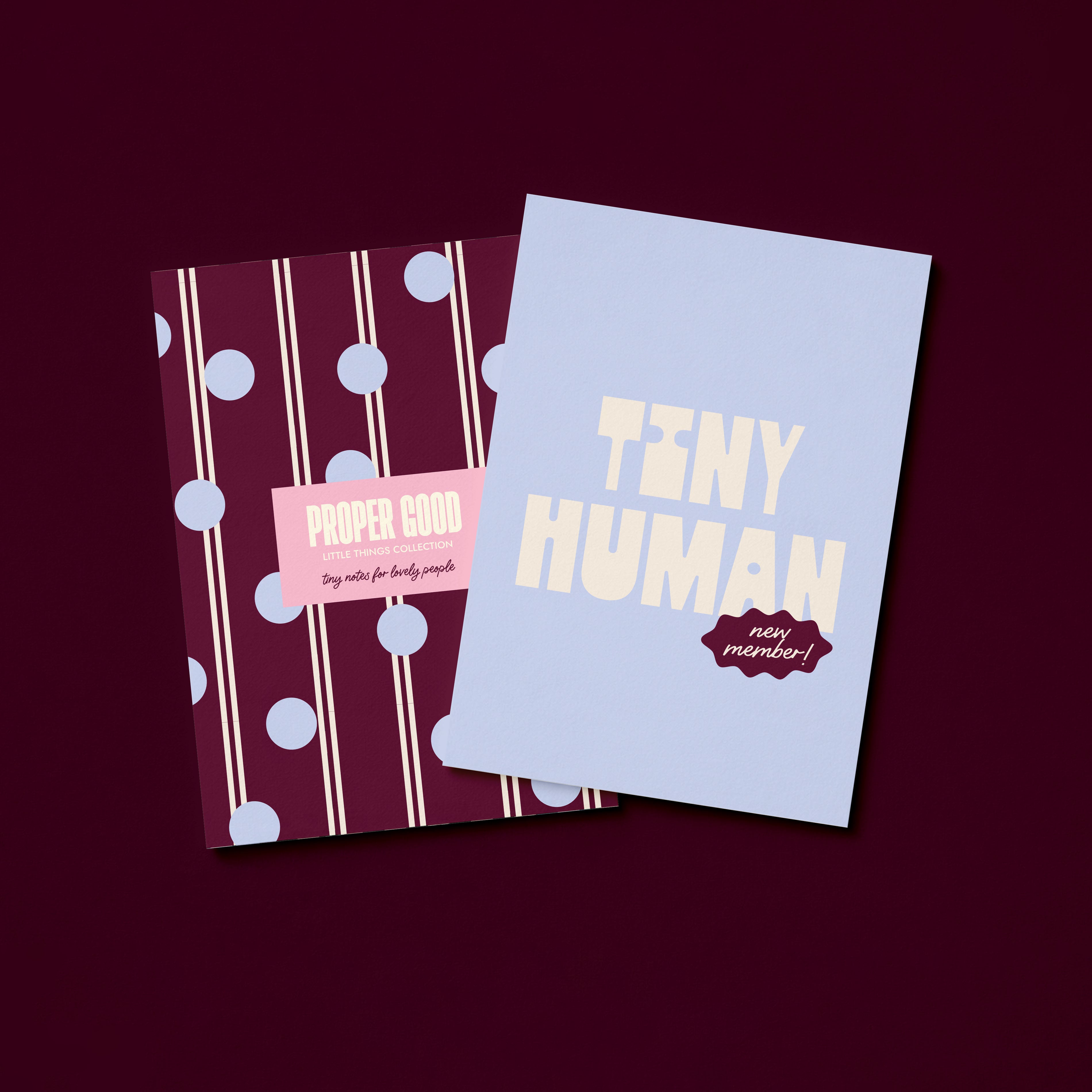 Mini New Baby Greetings Card
