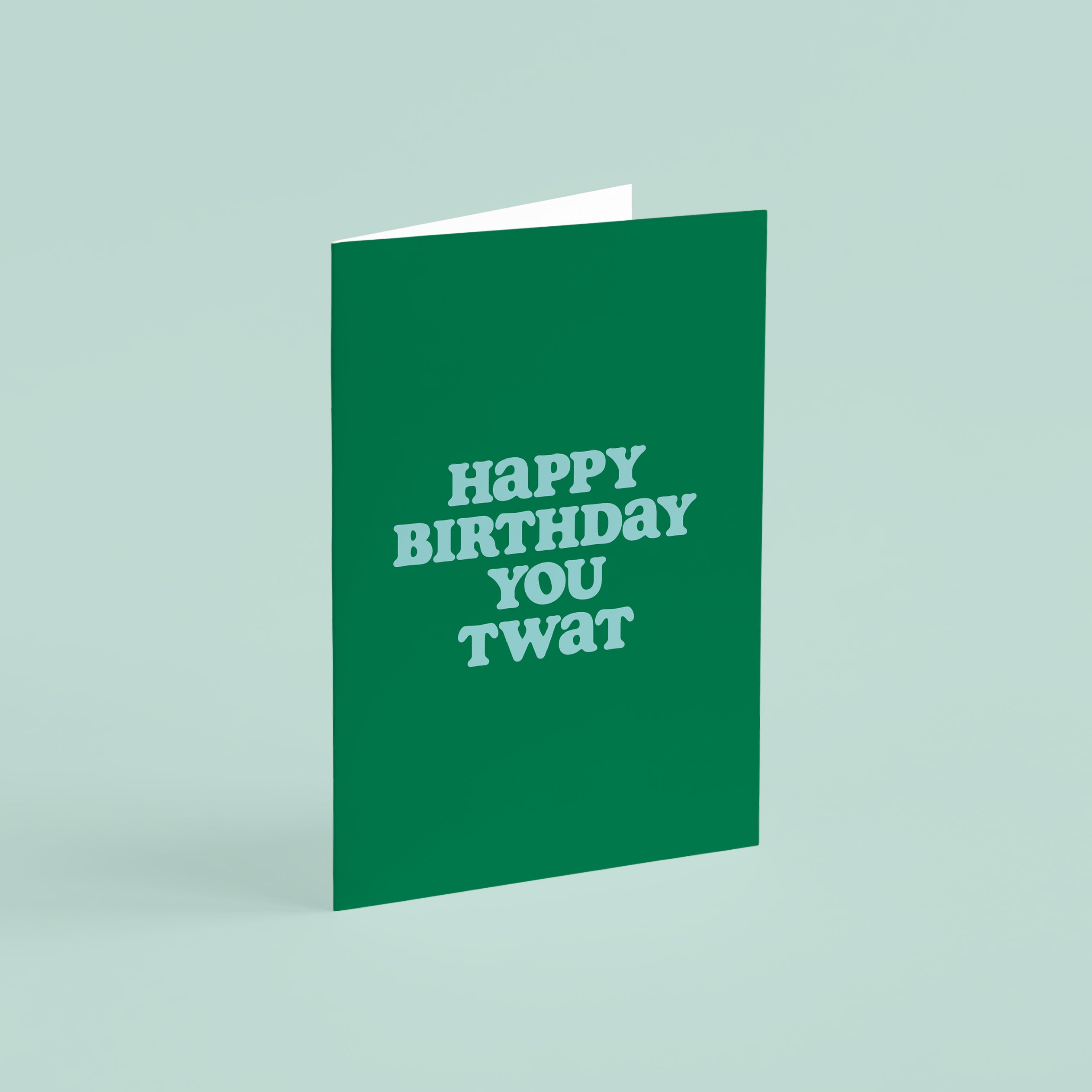 Funny Sarcastic Birthday Card