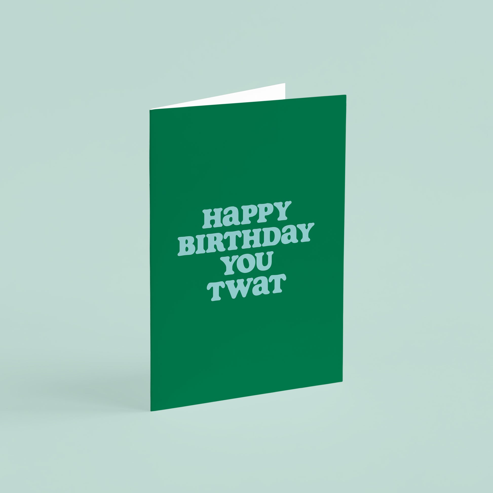 Funny Sarcastic Birthday Card