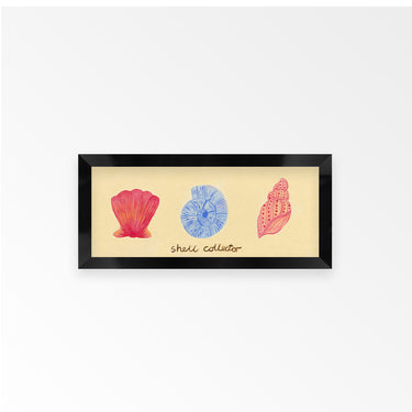 Shell Collector Panoramic Framed Print