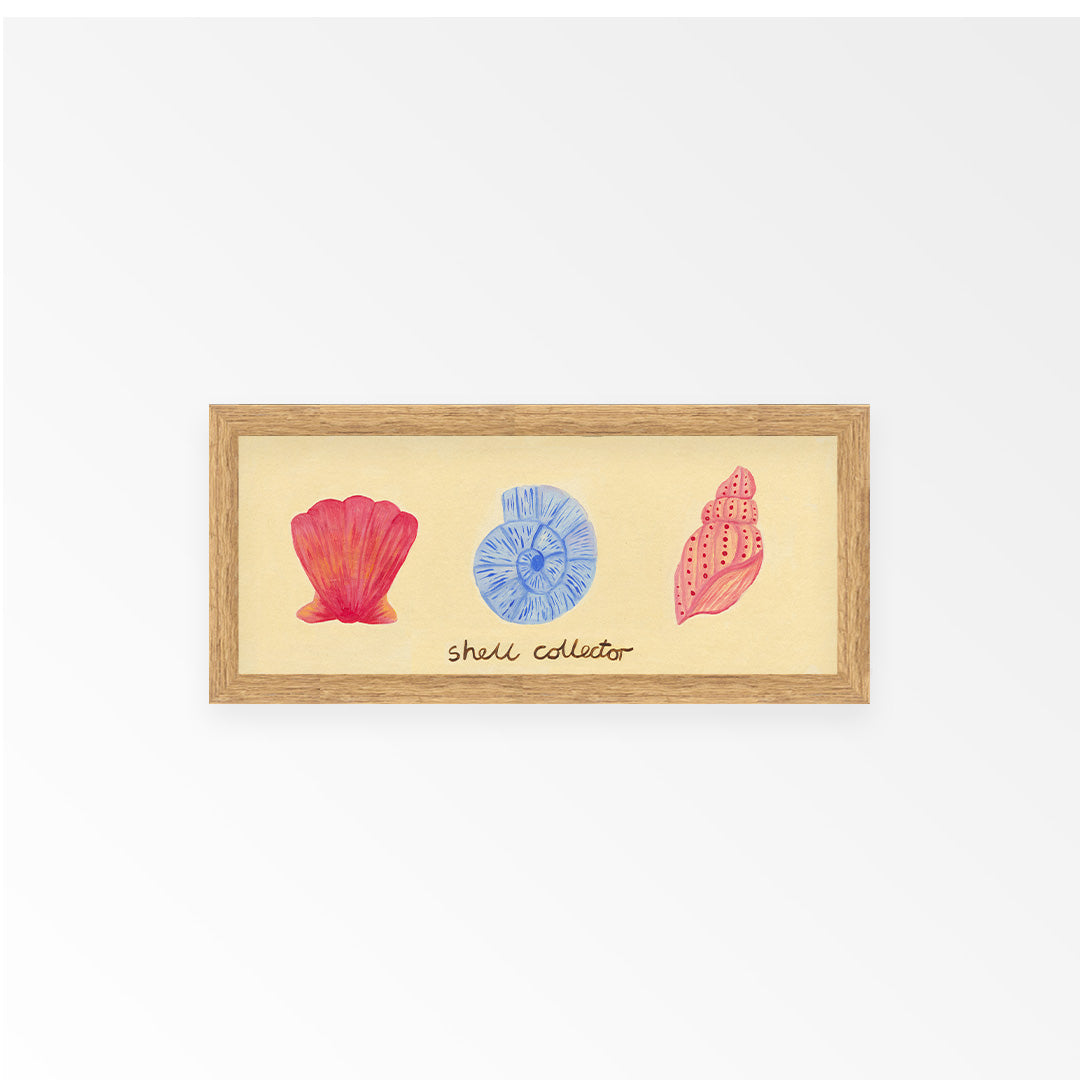 Shell Collector Panoramic Framed Print