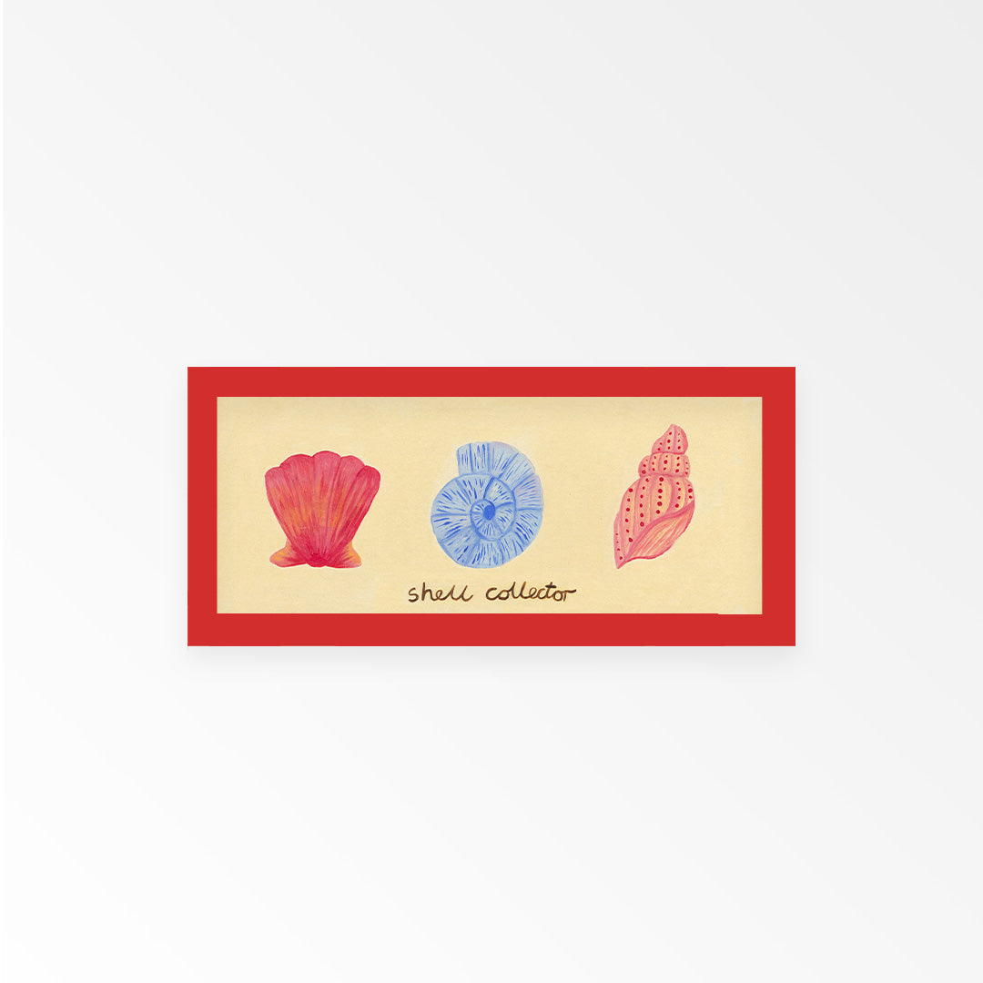 Shell Collector Panoramic Framed Print
